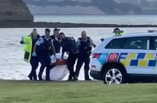 中国海域发现宝船_澳大利亚发现疑似失联飞机残骸_奥克兰海域发现尸骸疑似中国公民