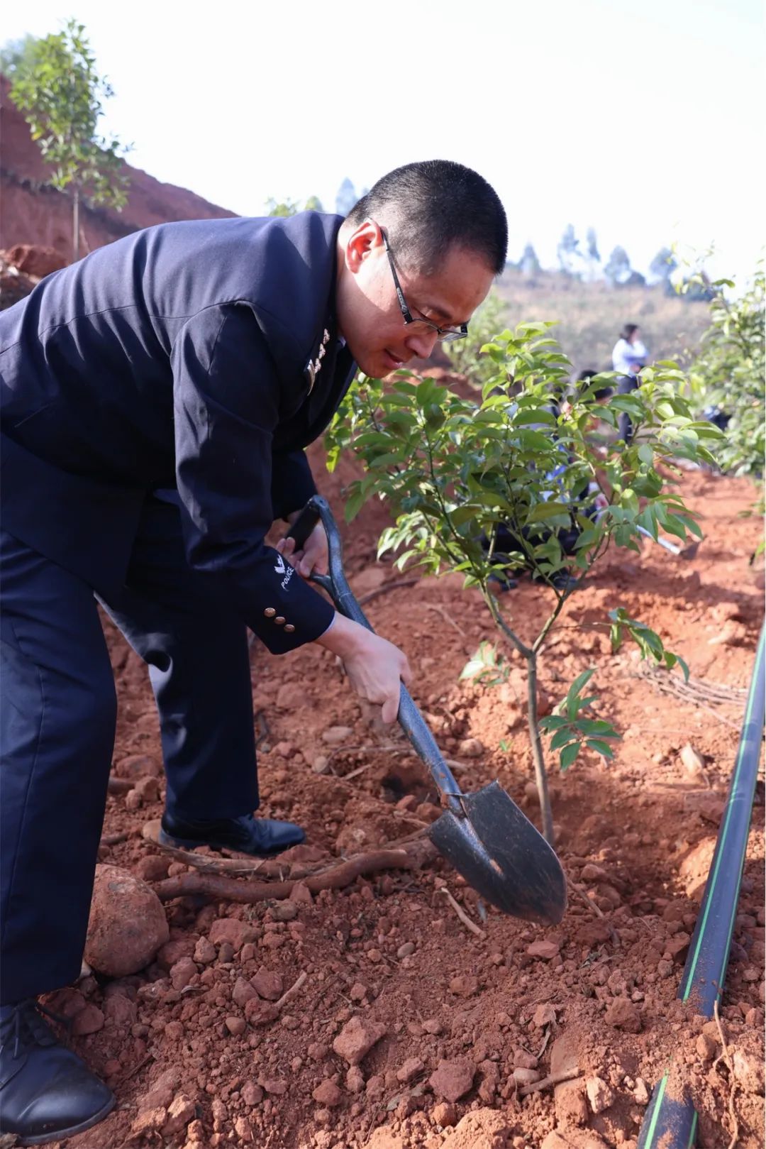 张植绿春天后母心_边坡植生生态绿格网价格_“植”此青绿